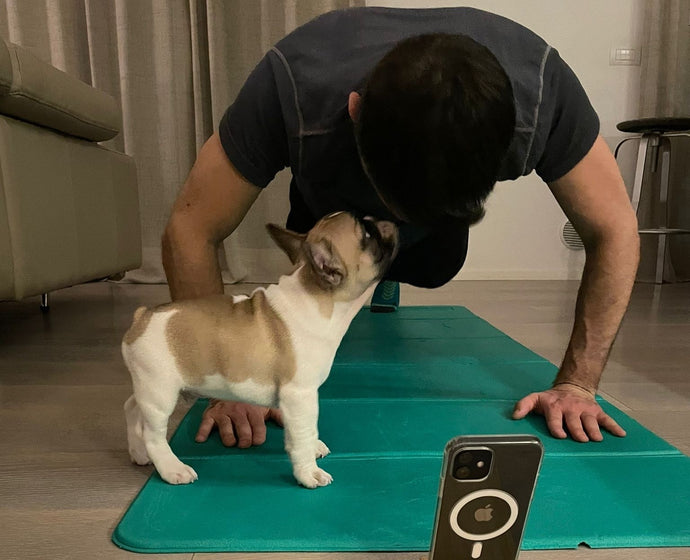 Ma è vero che i Bulldog Francesi sono cani delicati e problematici?