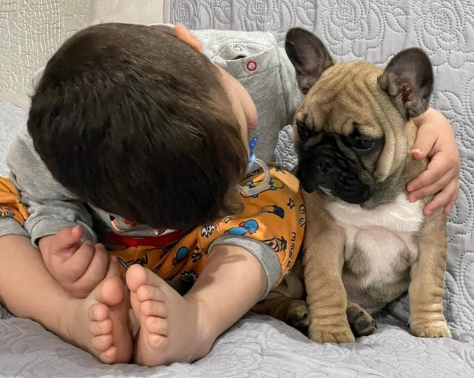 Cuccioli a basso costo? il prezzo che paghi dopo è molto più alto