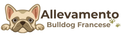 Allevamento Bulldog Francese – Home